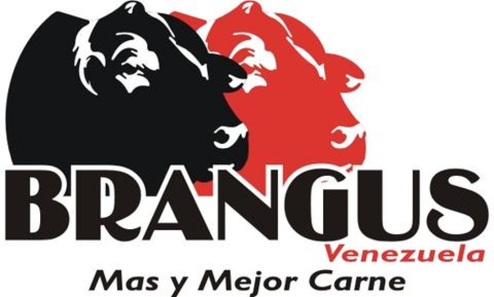 Información General de Brangus - Venezuela