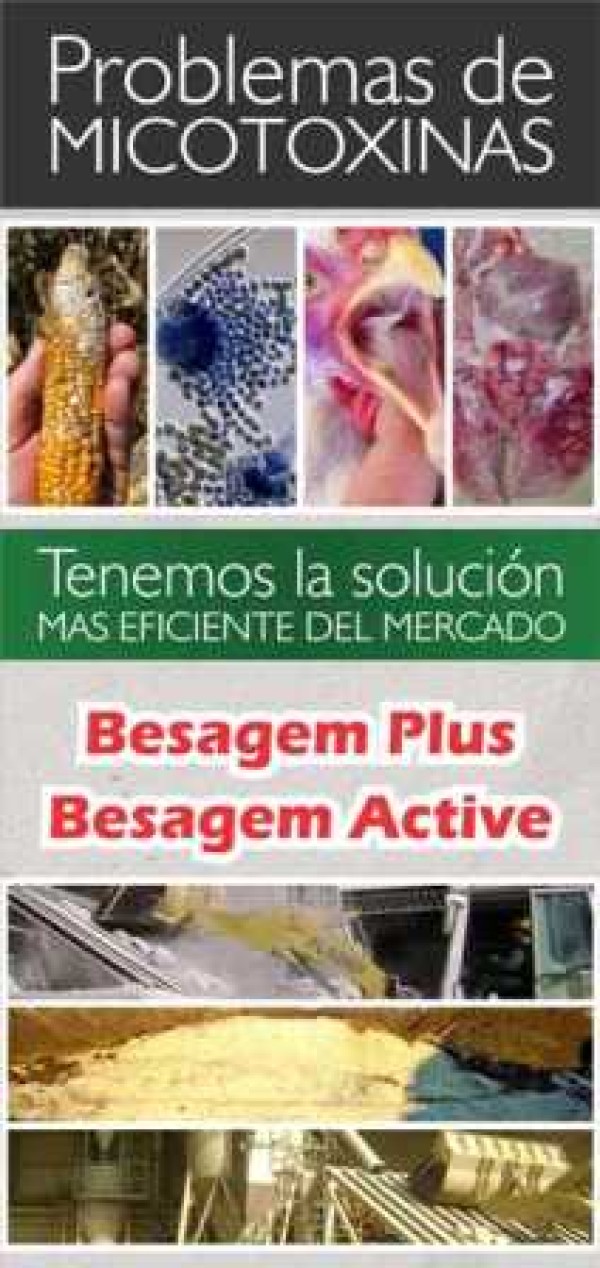 BESAGEM PLUS