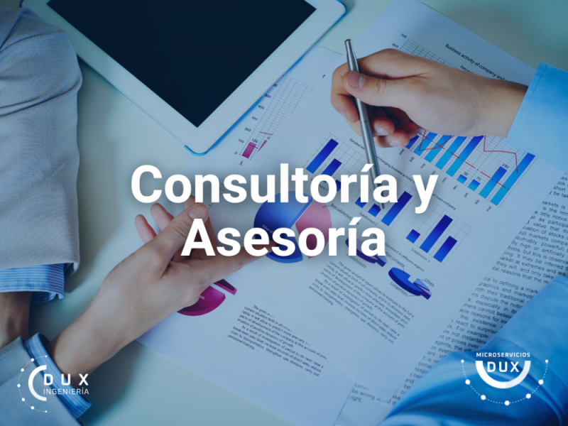 Asesoría y Consultoría