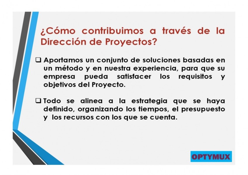 OPTYMUX ASESORES INDUSTRIALES