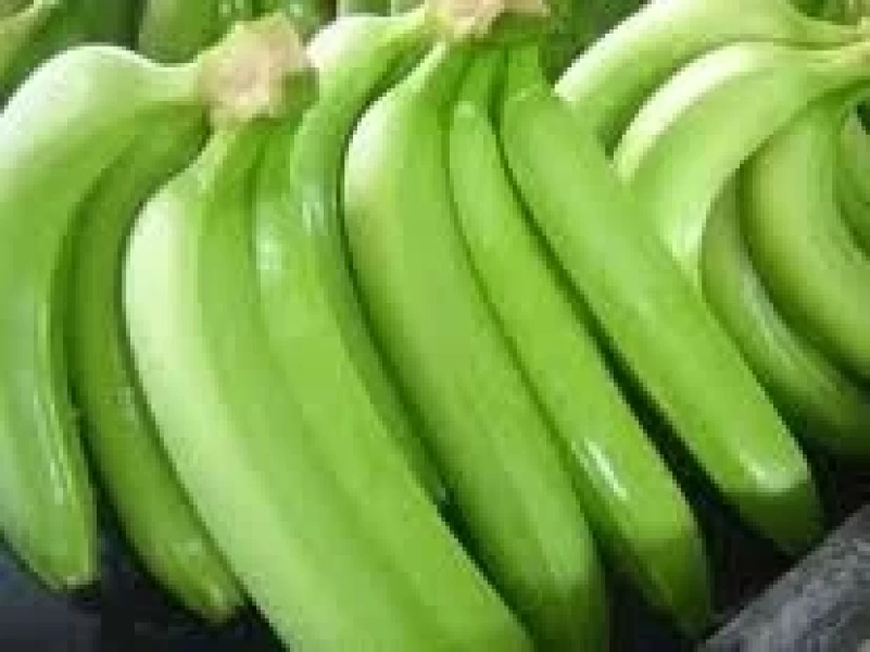 BANANA  CAVENDISH  EXPORTACION