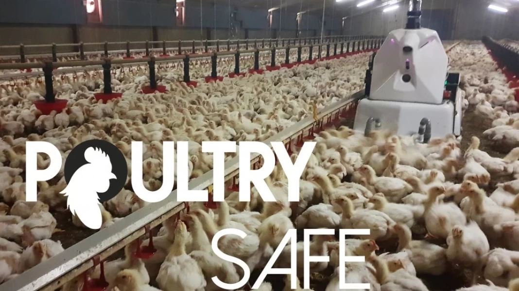 Octopus Poultry Safe