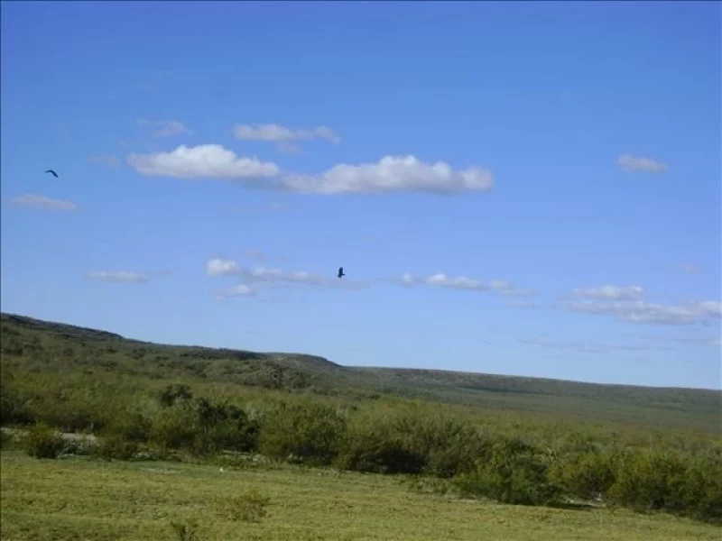 3500ha VALCHETA RN FINANCIADO
