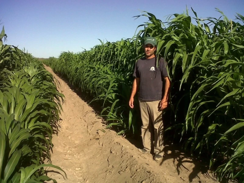 80 ha PARA VIÑEDO -MONTE COMAN
