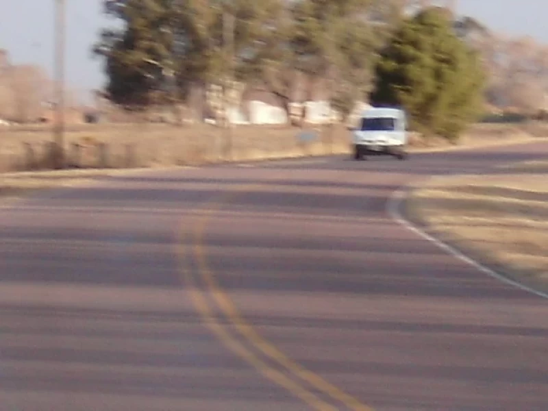 83HA EN ROLON LA PAMPA.GRANJA