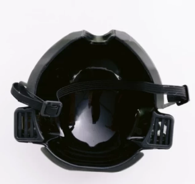 DP30