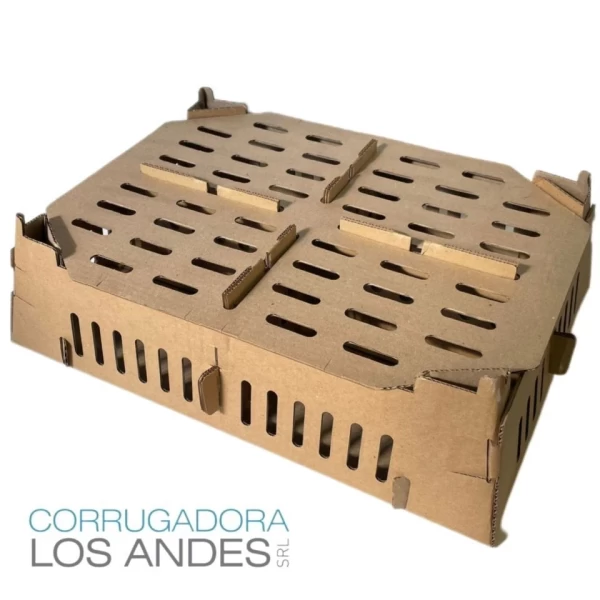 Caja para transporte de Pollos BB en cartón corrugado