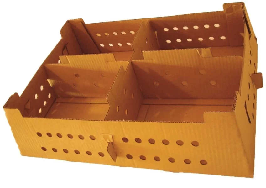 Caja para transporte de Pollos BB en cartón corrugado