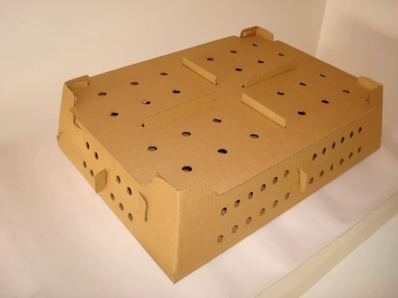 Caja para transporte de Pollos BB en cartón corrugado