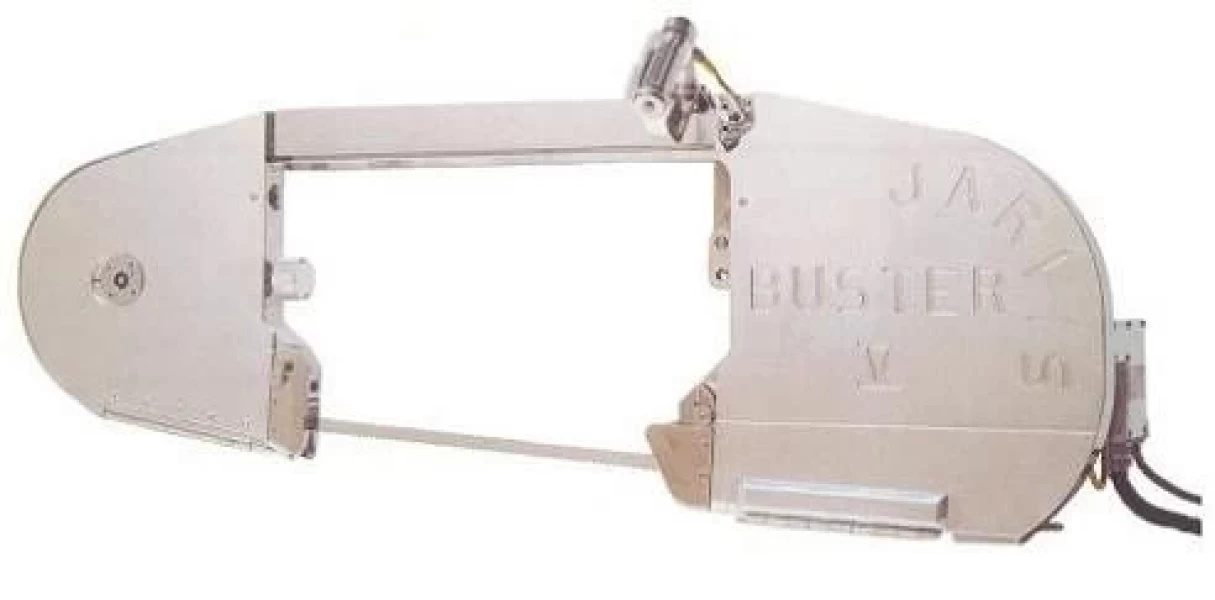 BUSTER V