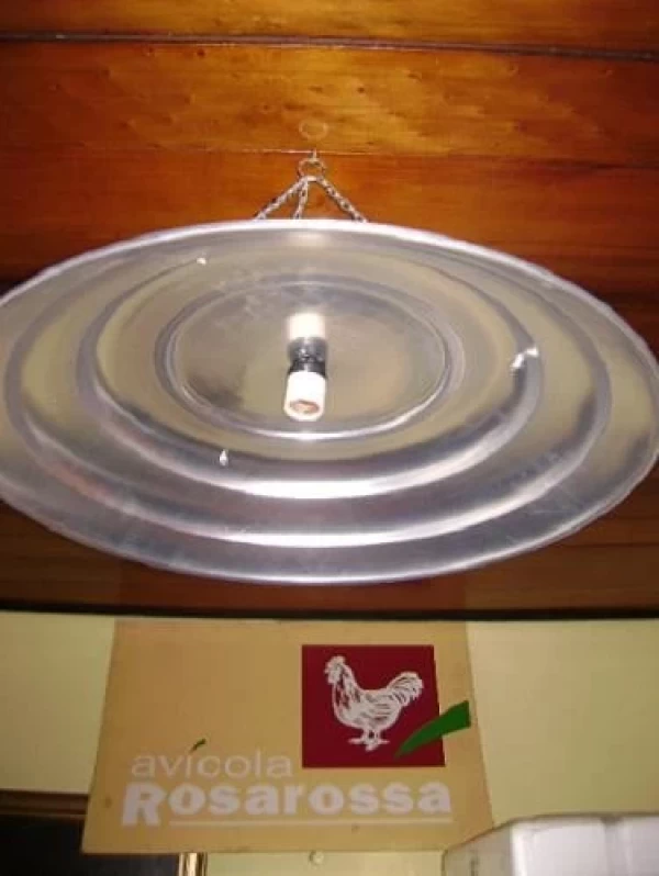 Campana Madre