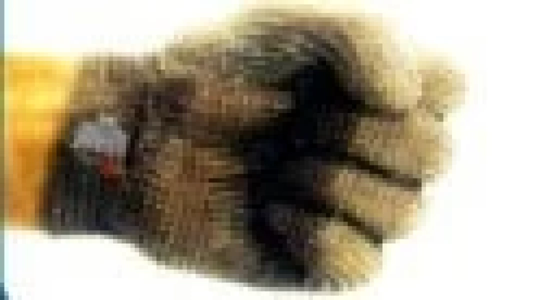 Guantes de malla de acero