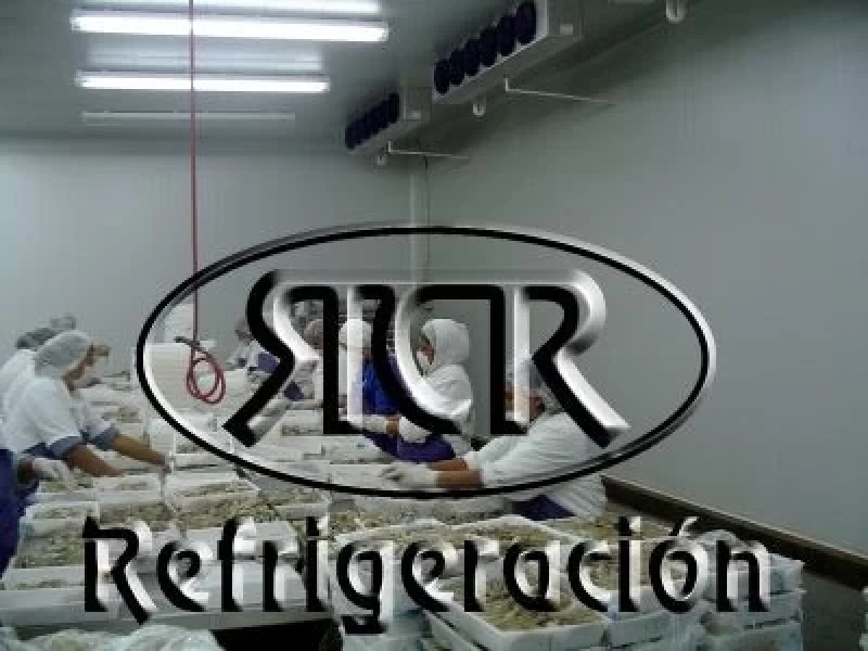 Plantas Procesadoras de Mariscos