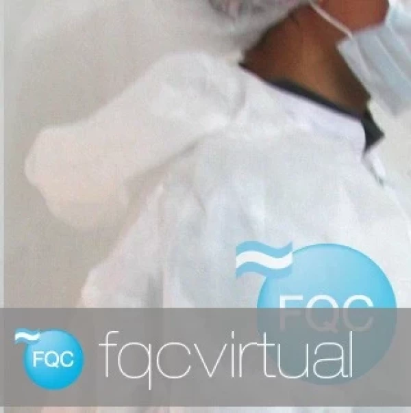 MAMELUCO CON CAPUCHA. FQCVIRTUAL