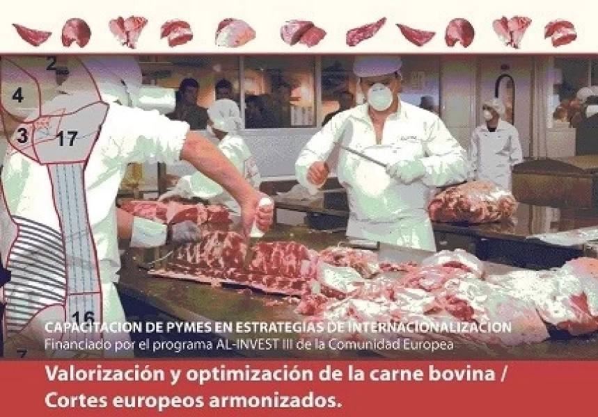 Capacitacion de Pequenas y Medianas Empresas en Estrategias de Internacionalización en América Latin