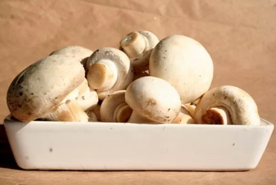 Champignon Blanco Fresco Entero