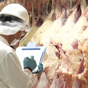 El IPCVA difundió el informe de exportaciones de carne en marzo 2020 Argentina