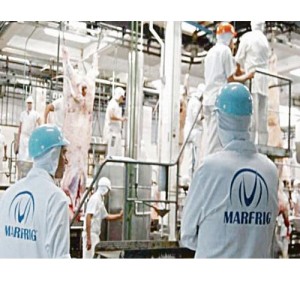 Marfrig fue elegida como mejor empresa de proteína bovina en el ranking FAIRR Global