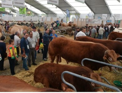 SE ACERCA LA EDICIÓN 2018 DE LA MAYOR FERIA GANADERA DE EUROPA