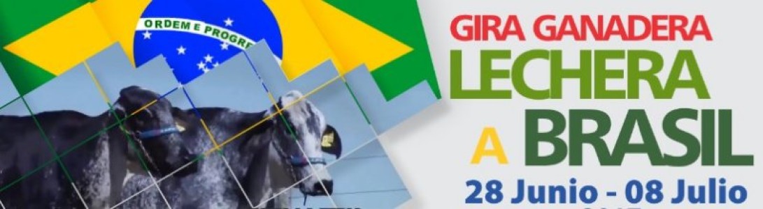 GIRA GANADERA LECHERA A BRASIL 2017