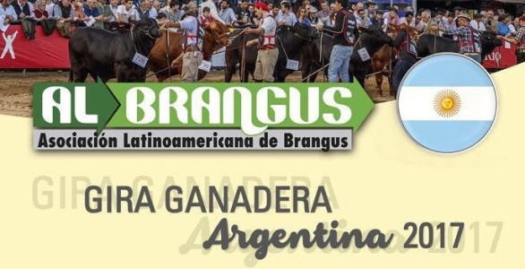 GIRA GANADERA ARGENTINA (BRANGUS) 2017