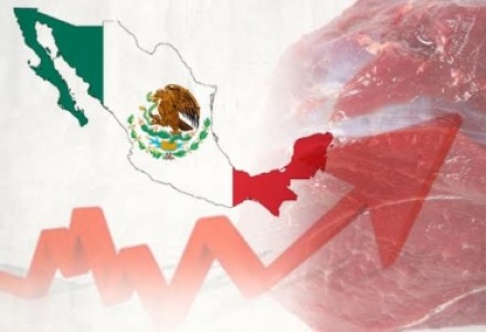 MÉXICO REGISTRA ALZA DE 22,5 % EN EXPORTACIONES DE PRODUCTOS CÁRNICOS