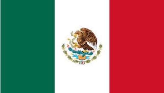 MEXICO: PREVÉN AUMENTO DE EXPORTACIONES DE CERDO EN 2015