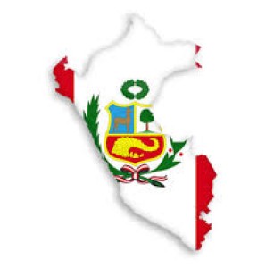 PERU: LA PRODUCCIÓN DE AVES AUMENTÓ UN 4% EN ENERO