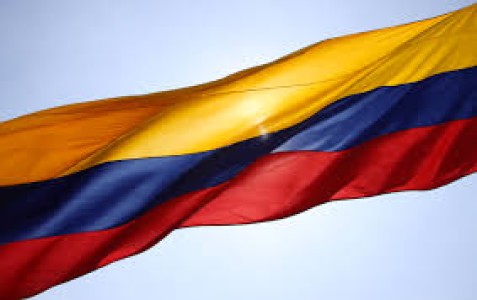 COLOMBIA: AVÍCOLAS APUESTAN POR NUEVOS NICHOS PARA HUEVO LÍQUIDO