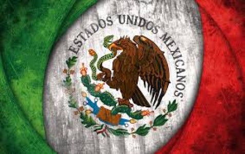 MEXICO: INNOVACIÓN Y VINCULACIÓN TECNOLÓGICA, CLAVES PARA AVICULTURA FUERTE Y MODERNA