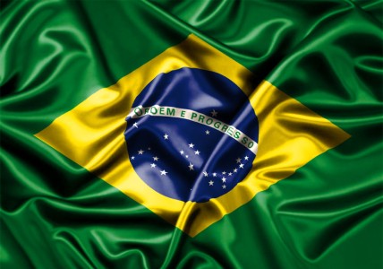 BRASIL : CAYERON LAS EXPORTACIONES AVÍCOLAS EN ENERO DE 2015