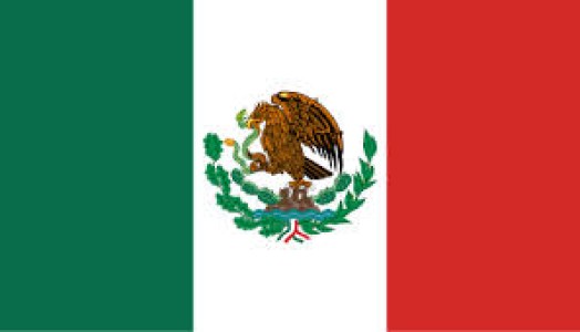MEXICO: LA IMPORTACIÓN DE CARNE DE CERDO NO TENDRÁ ARANCELES