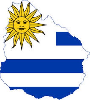 URUGUAY BUSCA ENTRAR CON CARNE OVINA CON HUESO AL NAFTA Y LA UE