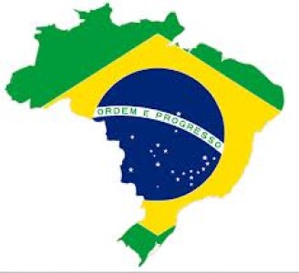 BRASIL: EL PROGRAMA DE SANIDAD AVÍCOLA CUMPLE 20 AÑOS
