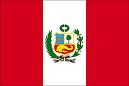 PERU: US$ 10 MILLONES EN UNA PLANTA DE INCUBACION DE POLLOS