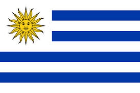 URUGUAY: VOLUMEN DE EXPORTACION DE CARNE BAJA 16,9 % EN ENERO