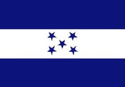 HONDURAS: BUENAS PERSPECTIVAS PARA LAS EXPORTACIONES DE CARNE DE AVES HACIA EE.UU.