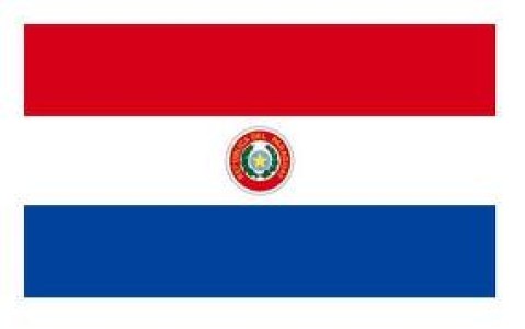 PARAGUAY: EXPORTACION DE CARNE PORCINA CRECE Y PRECIOS MEJORAN 25 %