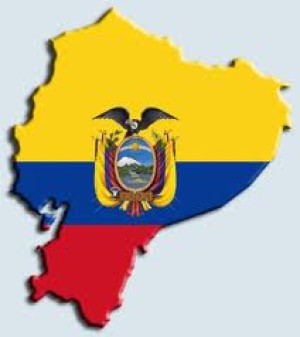 ECUADOR: AUMENTA 15 % LA DEMANDA DE PAVO 