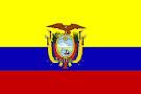ECUADOR: EL SECTOR AVICOLA CRECE, PERO LA CADENA AUN REQUIERE DE INCENTIVO