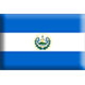 EL SALVADOR: CIERRAN IMPORTACION PORCINA DE GUATEMALA