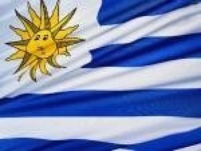 URUGUAY SIGUE SIN APLICAR IVA AL POLLO Y EL CERDO PARA PROMOVER EL CONSUMO DE CARNES ALTERNATIVAS