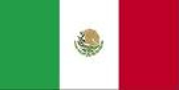 MEXICO: BUSCA PROMOVER EXPORTACION DE CARNE A LA INDIA