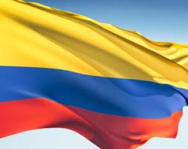 COLOMBIA: INVESTIGADORES DESARROLLAN UNA HAMBURGUESA CON FIBRA DE PLÁTANO PARA REDUCIR SU CONTENIDO 