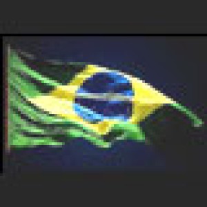 BRASIL: CRECEN LAS EXPORTACIONES DE CARNE DE AVES