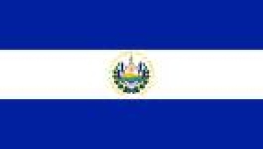 EL SALVADOR: PRODUCTORES PIDEN EXCLUIR SECTOR PORCINO EN TLC CON CANADA