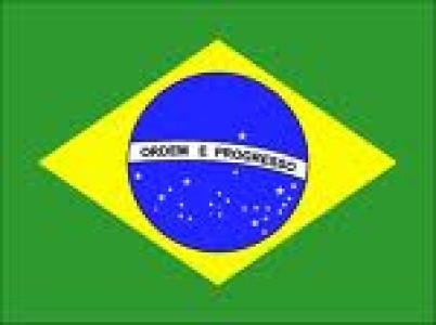 BRASIL: BUENA MARCHA PARA ELVALOR DE LAS EXPORTACIONES DE CARNE DE CERDO