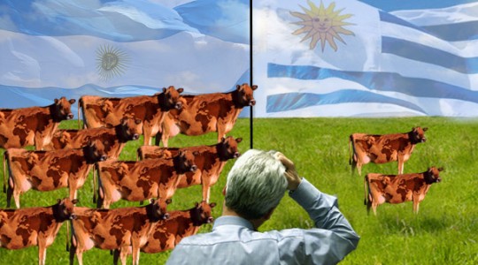 COMO URUGUAY YA VENDE MAS CARNE QUE ARGENTINA