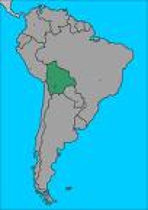 BOLIVIA: SE PLANTEA POTENCIAR PRODUCCION DE QUINUA  Y CAMELIDOS PARA EL DESARROLLO DE POTOSI