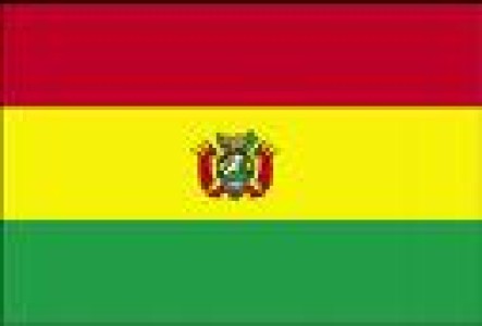 BOLIVIA:  AVICOLAS DEBERAN CAMBIAR CONSUMO DE GLP POR GAS NATURAL